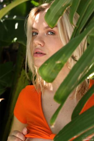 Original 2667 px/ 4000 px