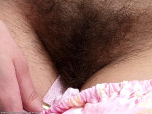 Original 1024 px/ 768 px