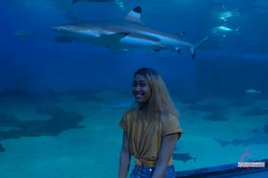 Original 3000 px/ 2000 px