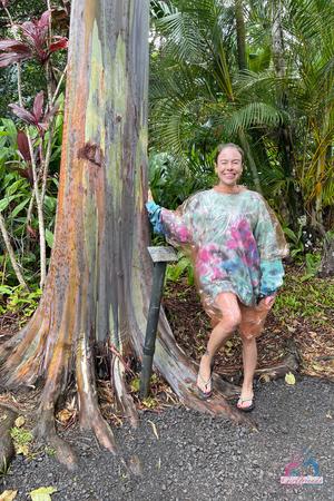 Original 2000 px/ 3000 px