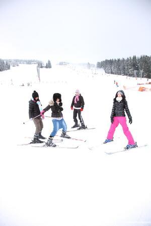 Original 1333 px/ 2000 px