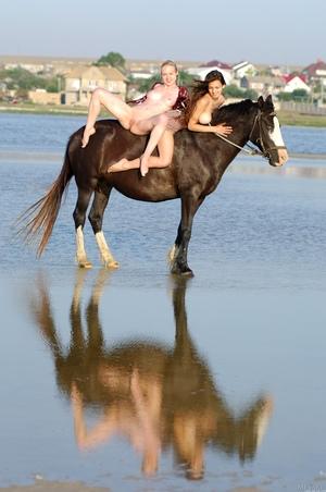 Original 1360 px/ 2048 px