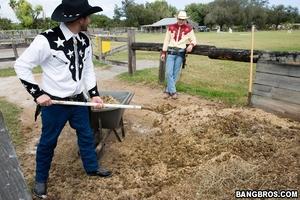 Original 800 px/ 533 px