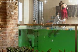 Original 1024 px/ 683 px