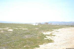 Original 2499 px/ 1663 px