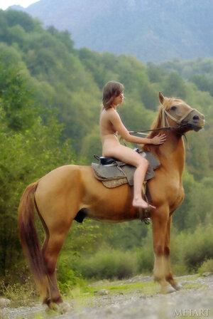 Original 1339 px/ 2000 px