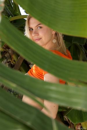 Original 2667 px/ 4000 px