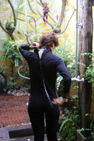 Original 2000 px/ 3000 px