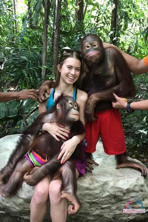 Original 2000 px/ 3000 px