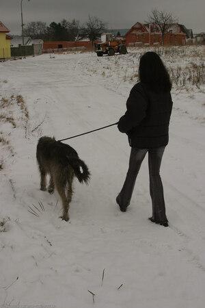 Original 1024 px/ 1536 px