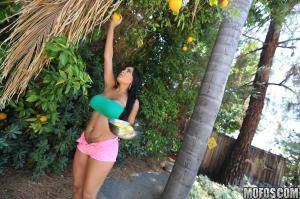 Original 2000 px/ 1333 px