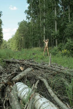 Original 2592 px/ 3888 px