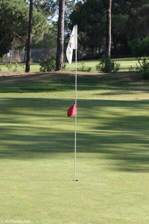 Original 853 px/ 1280 px