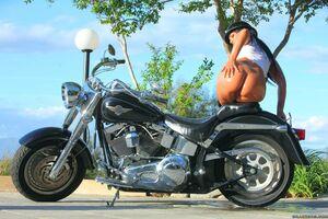 Original 1248 px/ 832 px