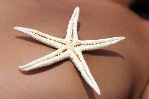 Original 4000 px/ 2667 px