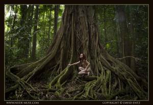 Original 5000 px/ 3439 px