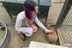 Original 3000 px/ 2000 px