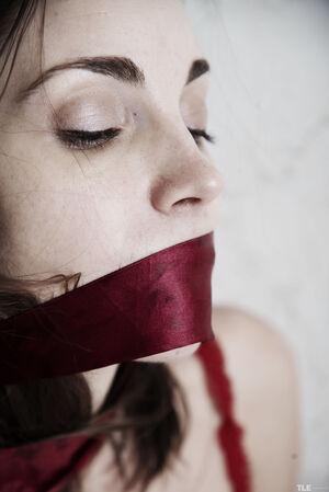 Original 4016 px/ 6016 px