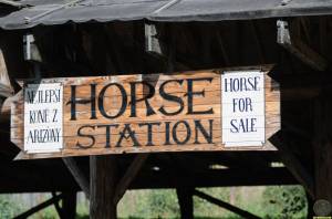 Original 1280 px/ 846 px