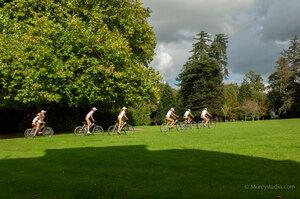 Original 3000 px/ 1993 px