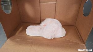 Original 1920 px/ 1080 px