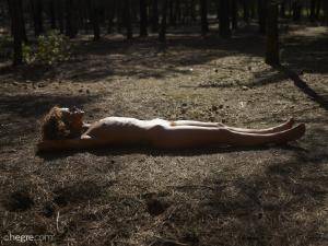 Original 9856 px/ 7405 px