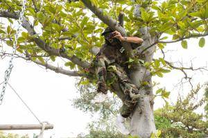 Original 2499 px/ 1663 px