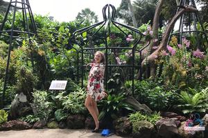 Original 3000 px/ 2000 px