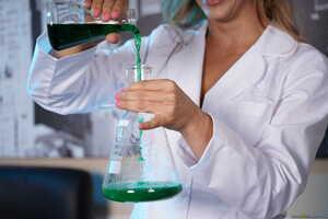 Original 2493 px/ 1663 px