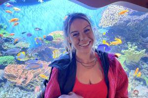 Original 3000 px/ 2000 px