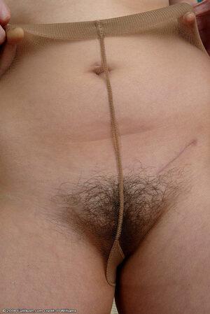 Original 684 px/ 1024 px