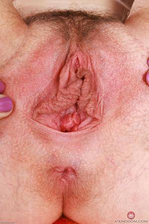 Original 2000 px/ 3000 px