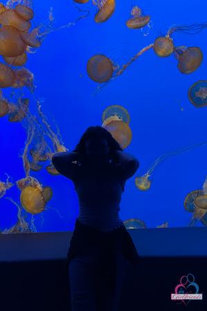 Original 2000 px/ 3000 px