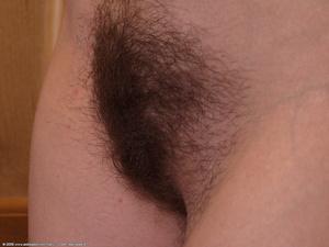 Original 1024 px/ 768 px