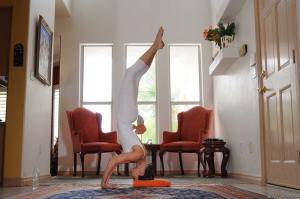 Original 2500 px/ 1660 px