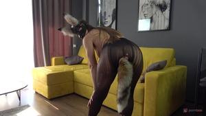 Original 2592 px/ 1458 px