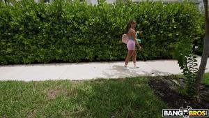 Original 1278 px/ 719 px