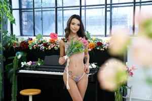 Original 7952 px/ 5304 px