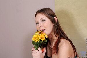 Original 2404 px/ 1600 px