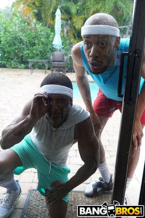 Original 1333 px/ 2000 px