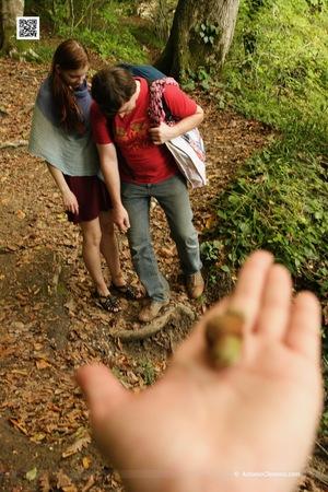 Original 2336 px/ 3504 px