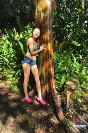 Original 2000 px/ 3000 px