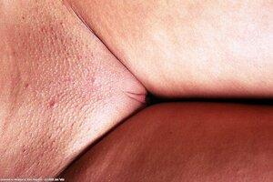 Original 1024 px/ 683 px