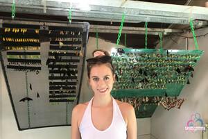 Original 3000 px/ 2000 px