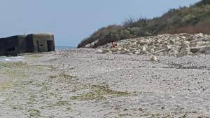 Original 5312 px/ 2988 px