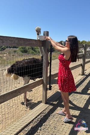 Original 3333 px/ 5000 px