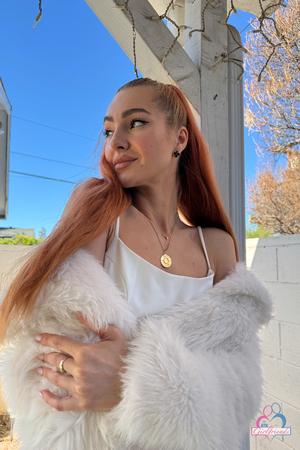 Original 2000 px/ 3000 px