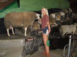 Original 2400 px/ 1800 px