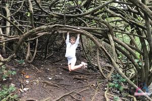 Original 3000 px/ 2000 px