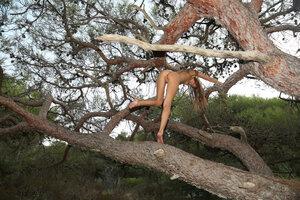 Original 5760 px/ 3840 px